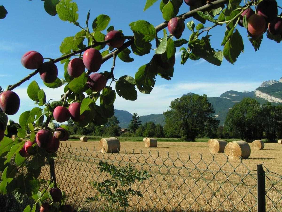 Les Champs Dores Noyarey Εξωτερικό φωτογραφία