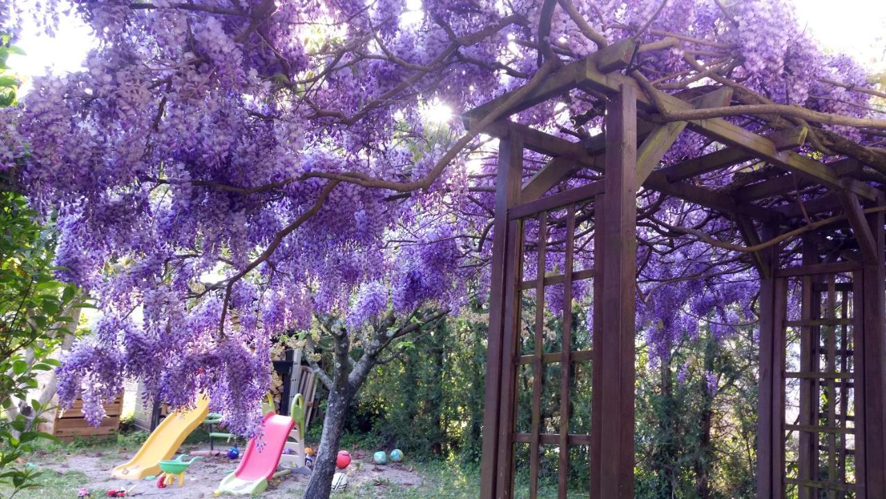 Les Champs Dores Noyarey Εξωτερικό φωτογραφία